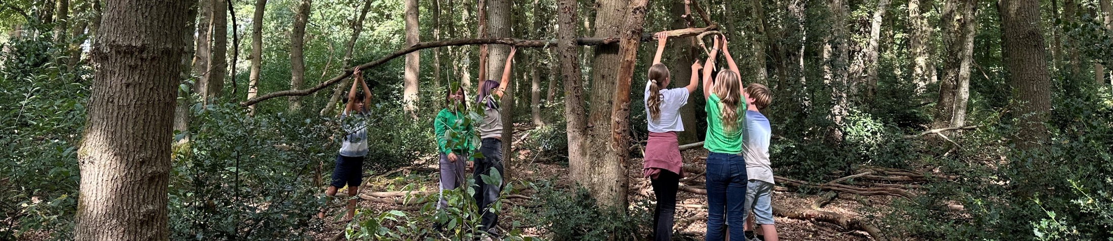 Kinderen tillen samen takken op om een hut te bouwen in het bos