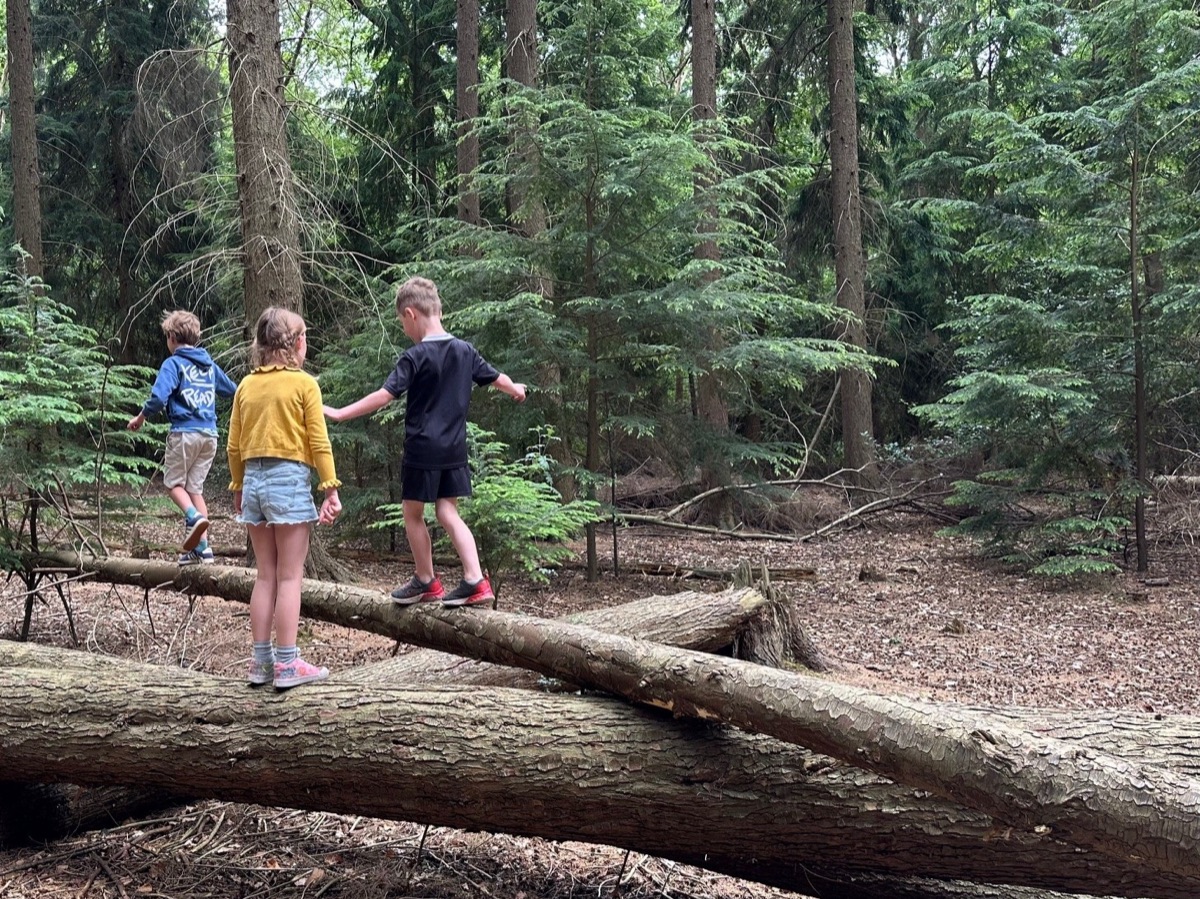 Kinderen balanceren over een omgevallen boomstam