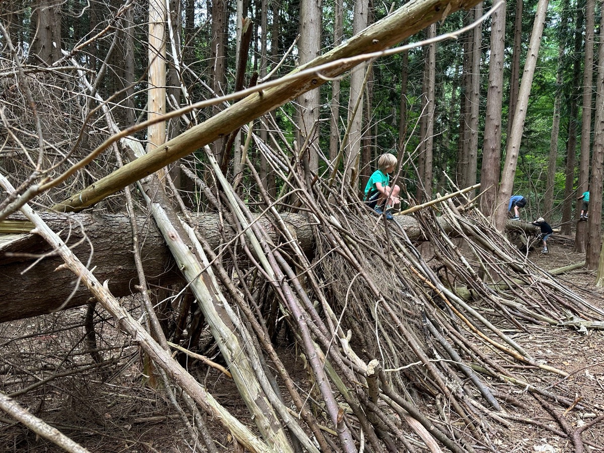 Kinderen bouwen een grote hut van takken in het bos