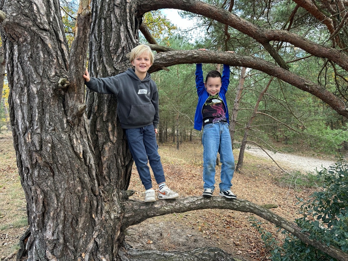 Twee kinderen klimmen op een omgevallen boom